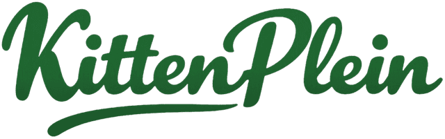 KittenPlein