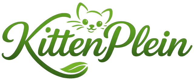KittenPlein
